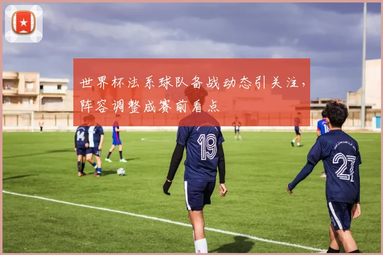 世界杯法系球队备战动态引关注，阵容调整成赛前看点