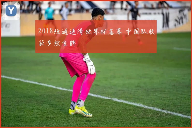 2018短道速滑世界杯落幕 中国队收获多枚金牌