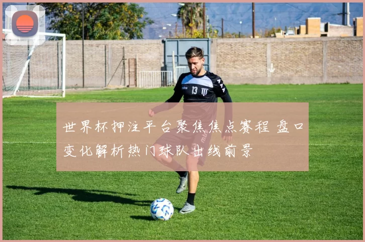 世界杯押注平台聚焦焦点赛程 盘口变化解析热门球队出线前景