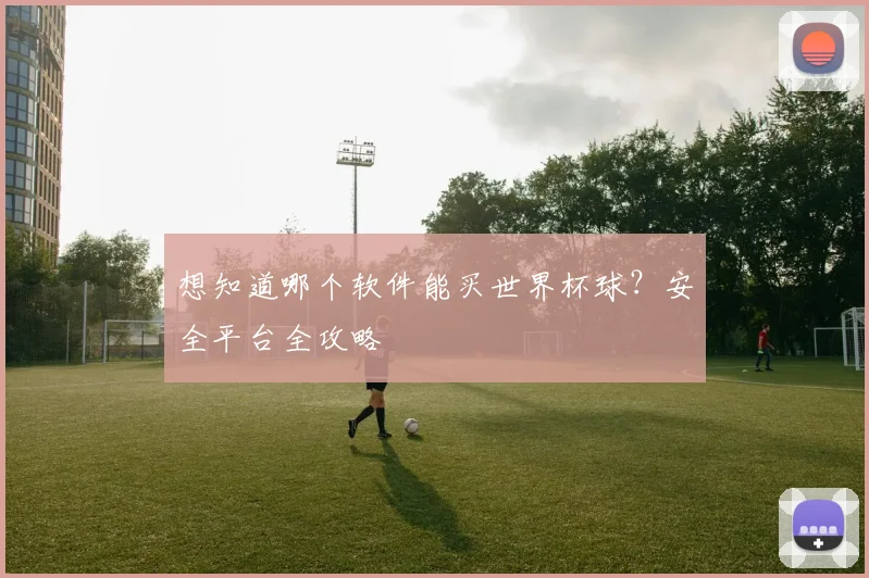 想知道哪个软件能买世界杯球?安全平台全攻略