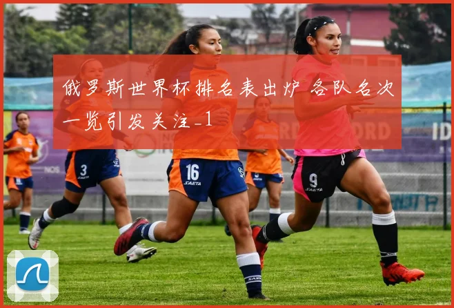 俄罗斯世界杯排名表出炉 各队名次一览引发关注_1
